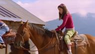 The Wild Stallion (Image via Film More Entertainment)